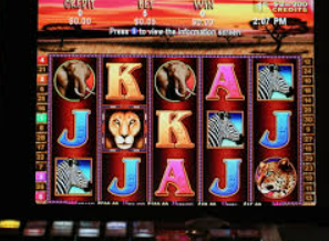 旺财28.ccpc29APP桌面版客户端